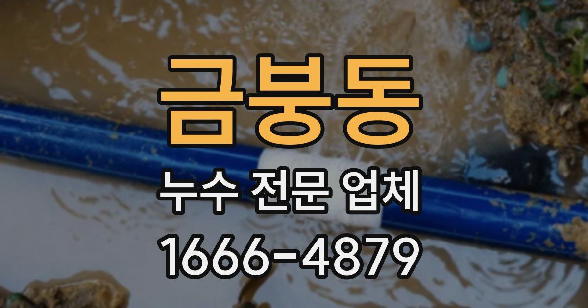 금붕동 누수 전문 업체