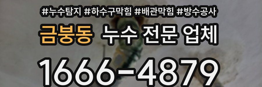 금붕동 누수 전문 업체