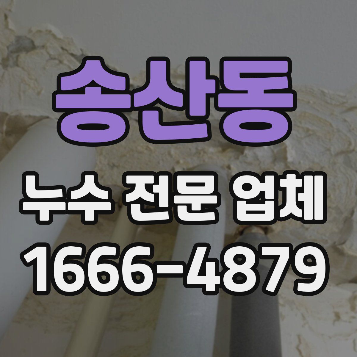 송산동 누수 전문 업체