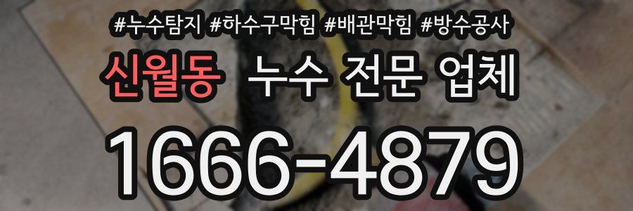 신월동 누수 전문 업체