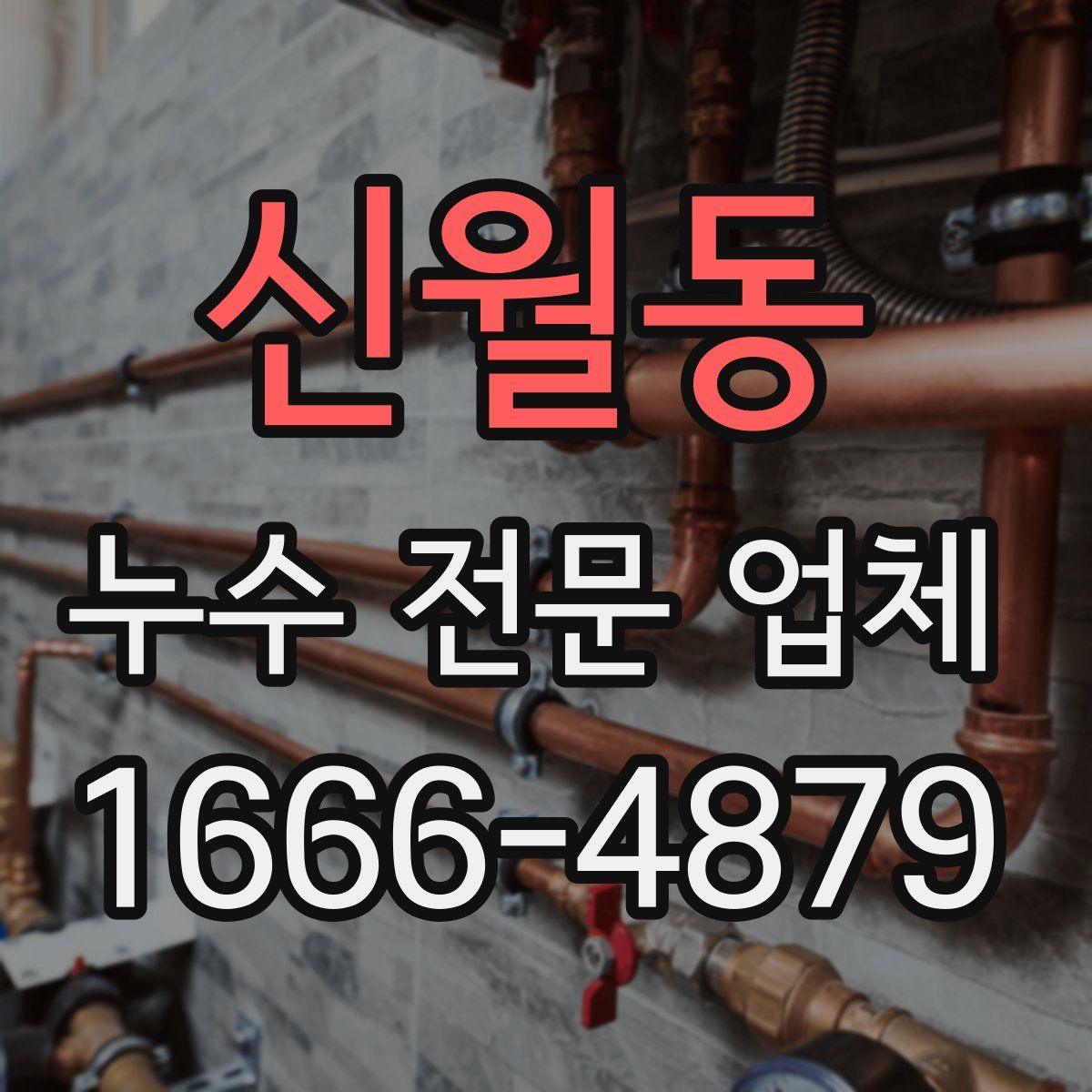 신월동 누수 전문 업체
