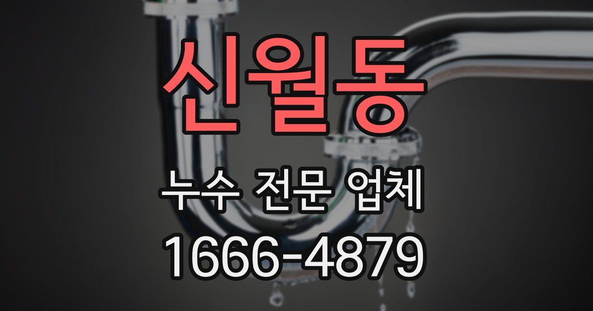 신월동 누수 전문 업체