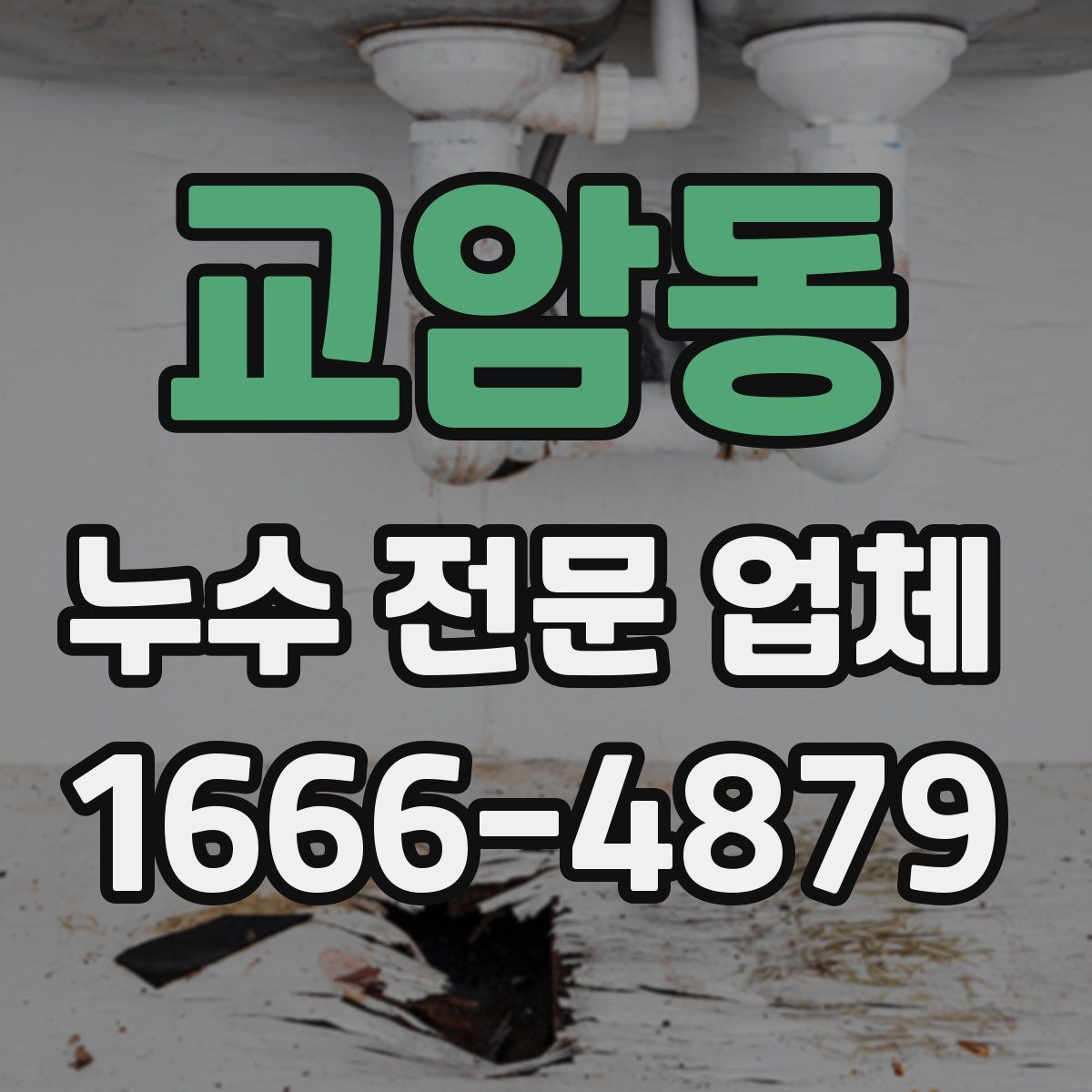 교암동 누수 전문 업체