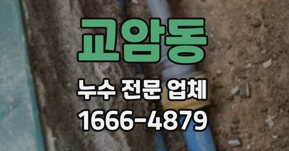 교암동 누수 전문 업체