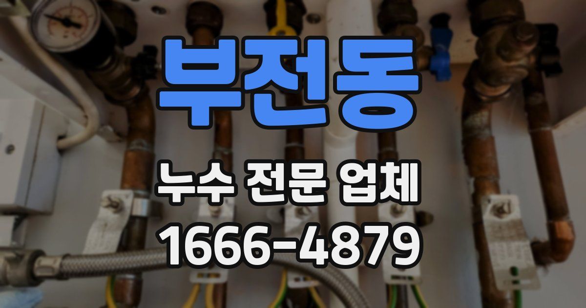 부전동 누수 전문 업체