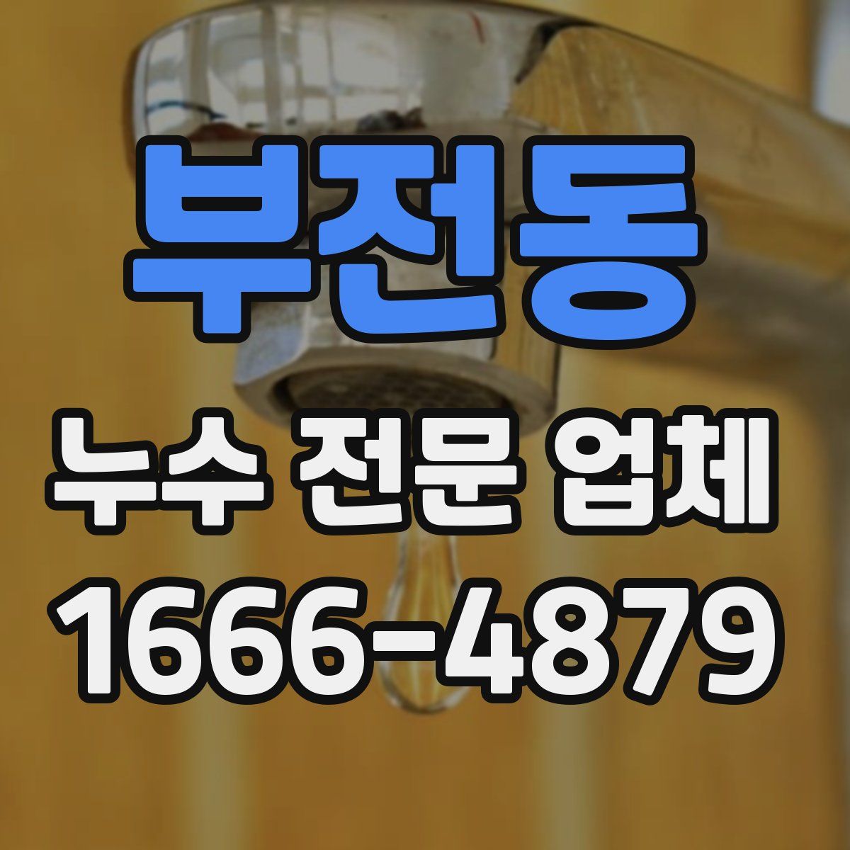 부전동 누수 전문 업체