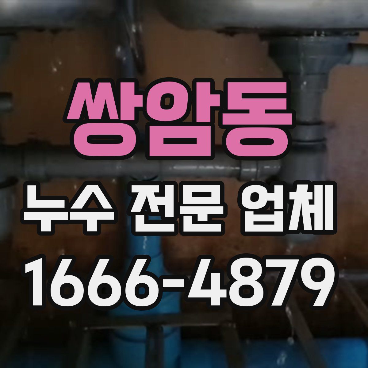 쌍암동 누수 전문 업체