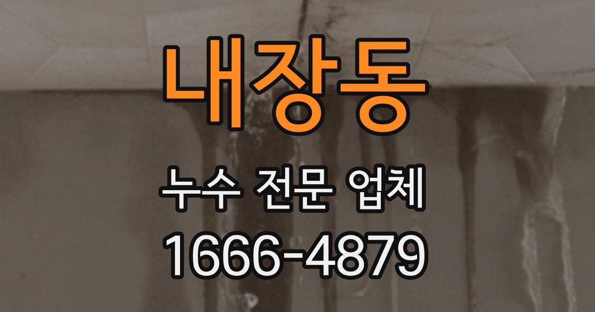 내장동 누수 전문 업체