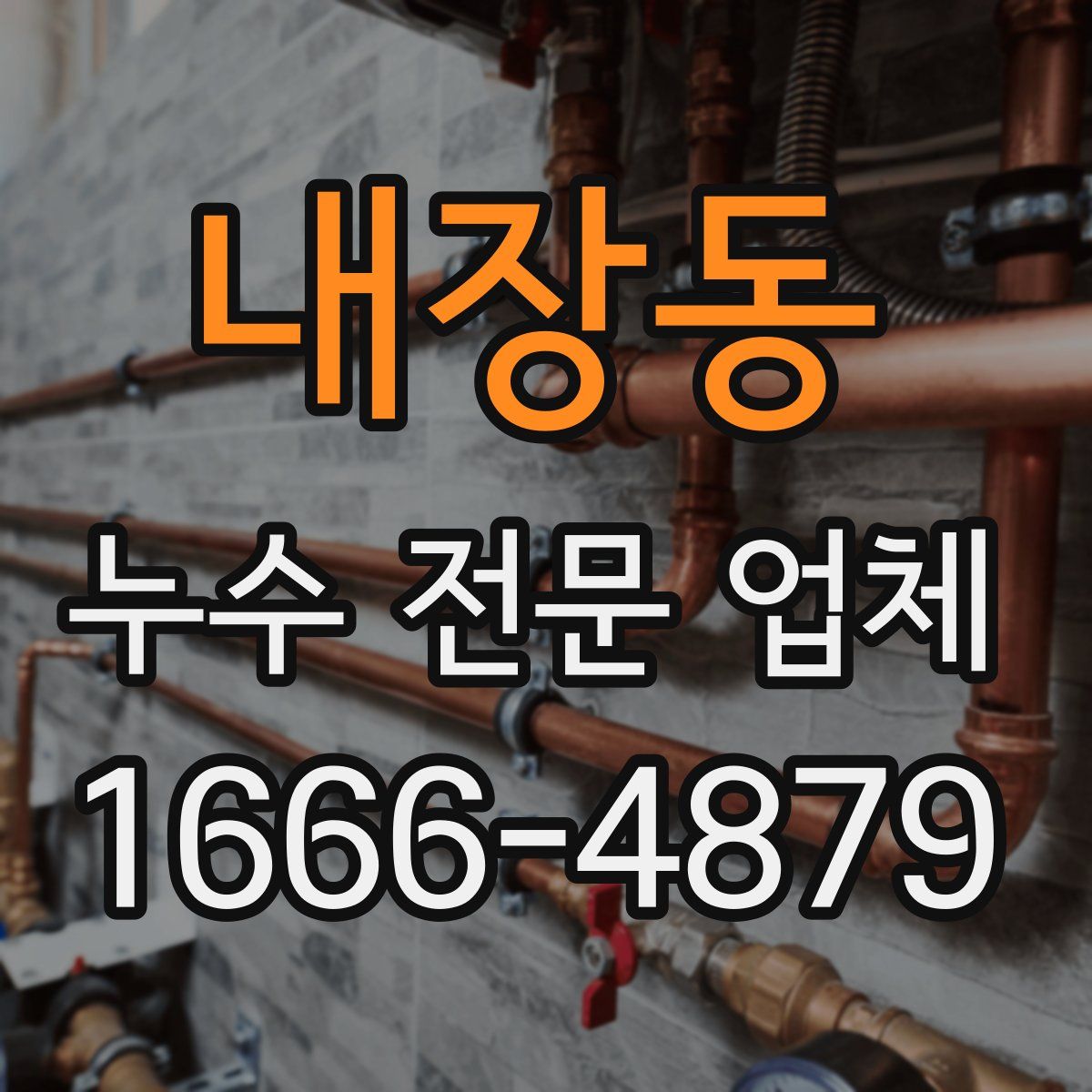 내장동 누수 전문 업체