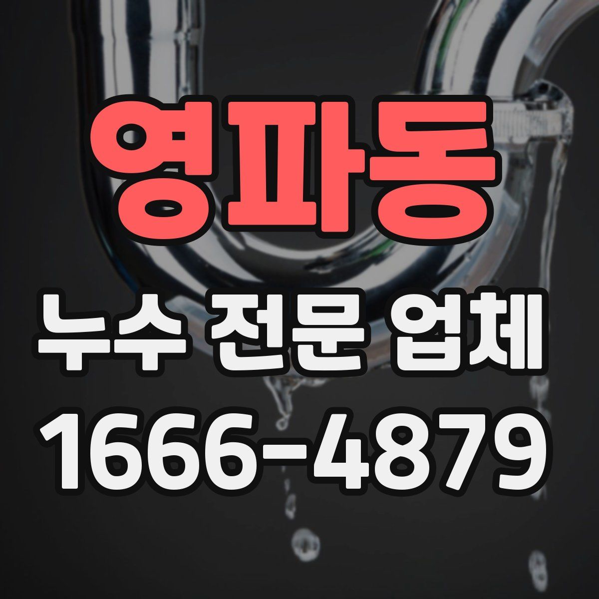 영파동 누수 전문 업체