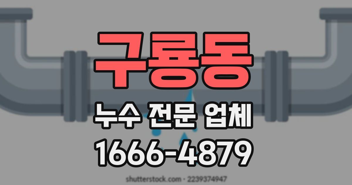 구룡동 누수 전문 업체