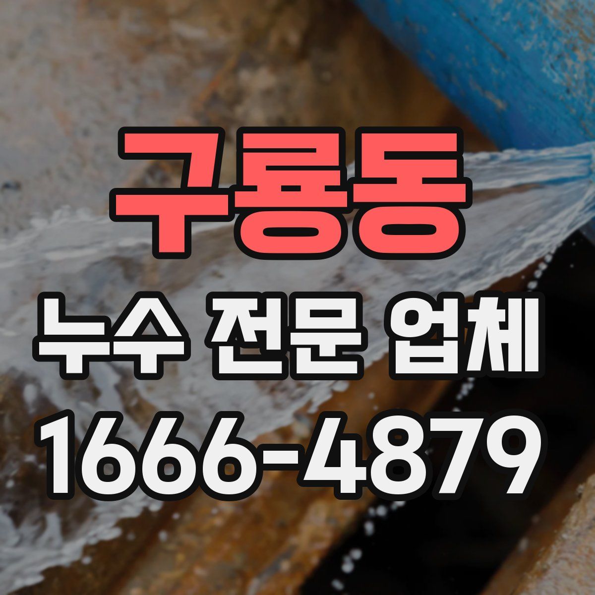 구룡동 누수 전문 업체