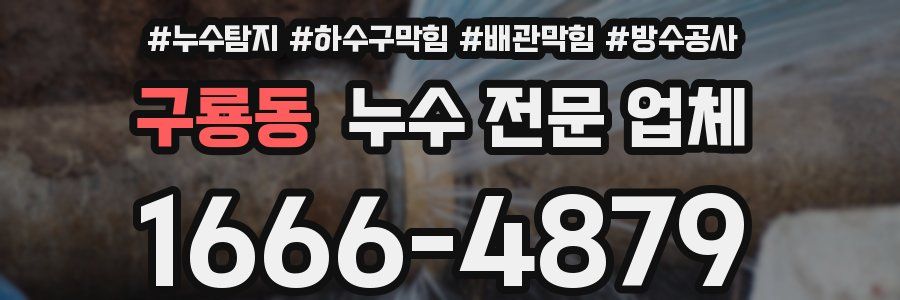 구룡동 누수 전문 업체
