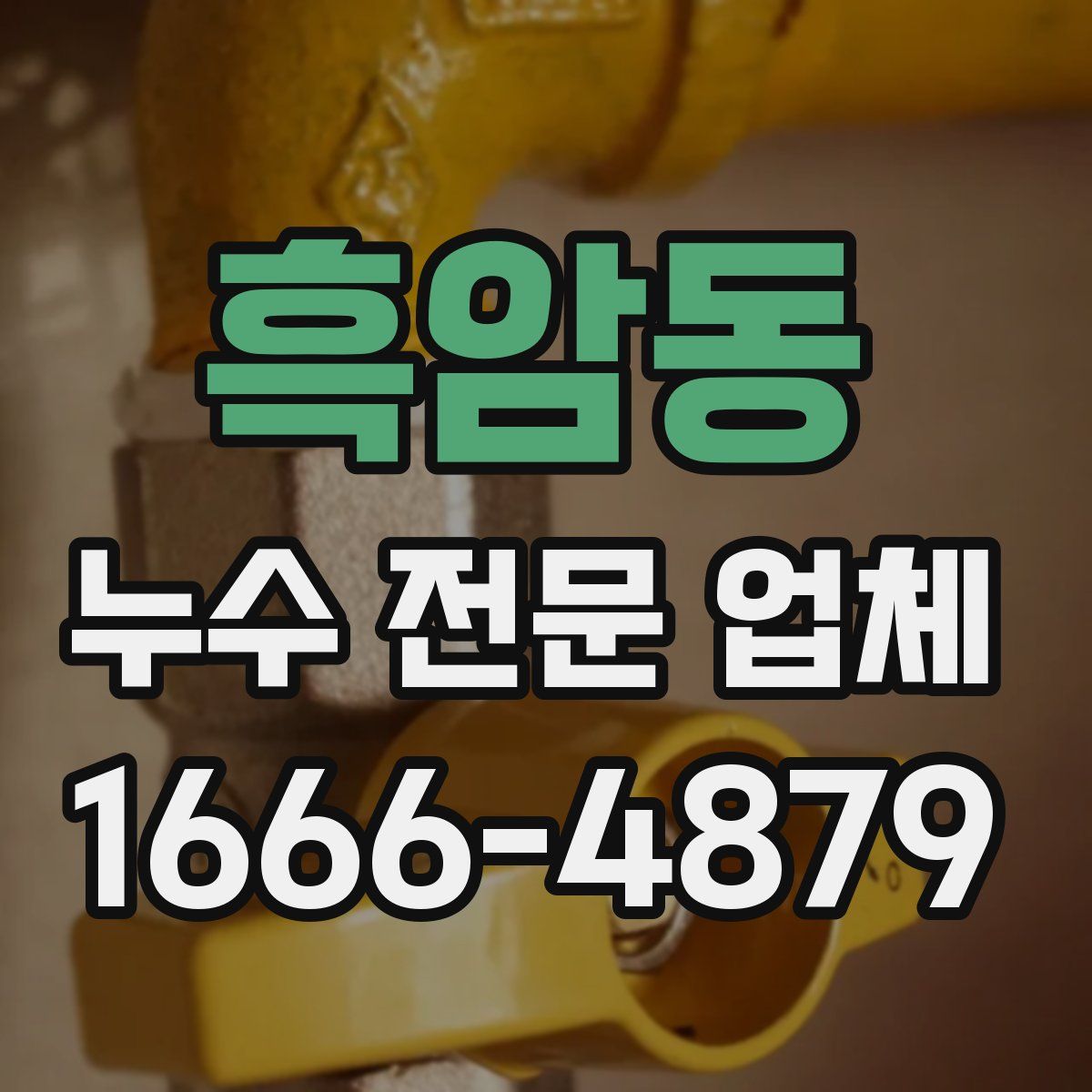 흑암동 누수 전문 업체
