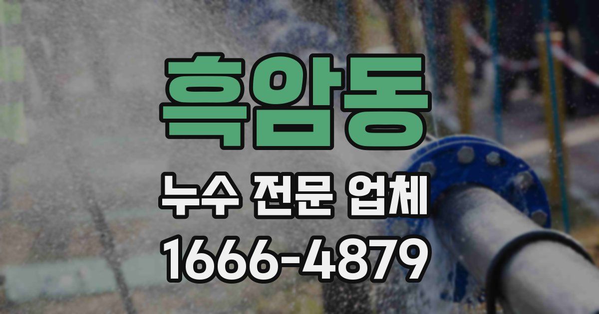 흑암동 누수 전문 업체