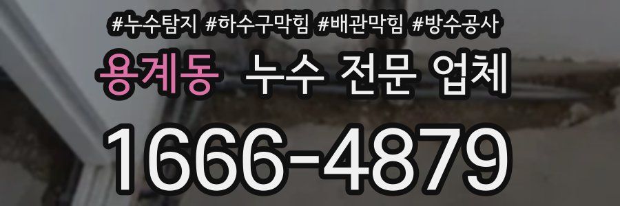 용계동 누수 전문 업체