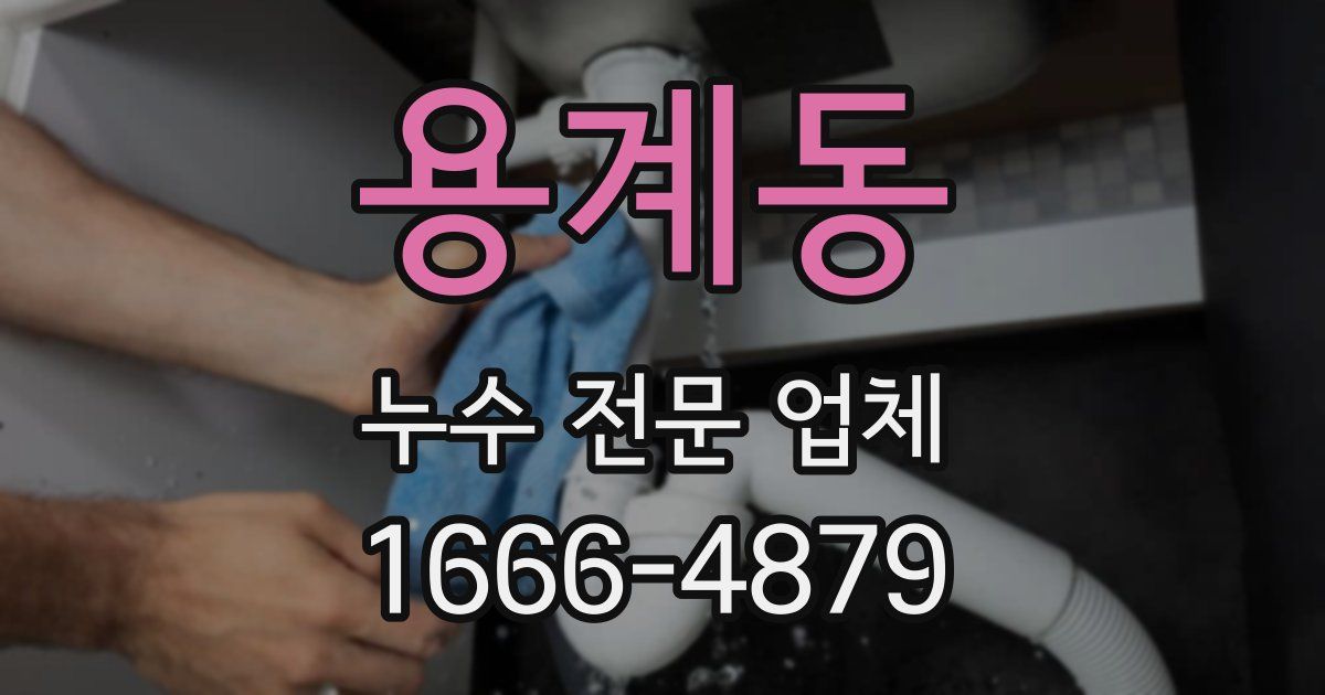 용계동 누수 전문 업체
