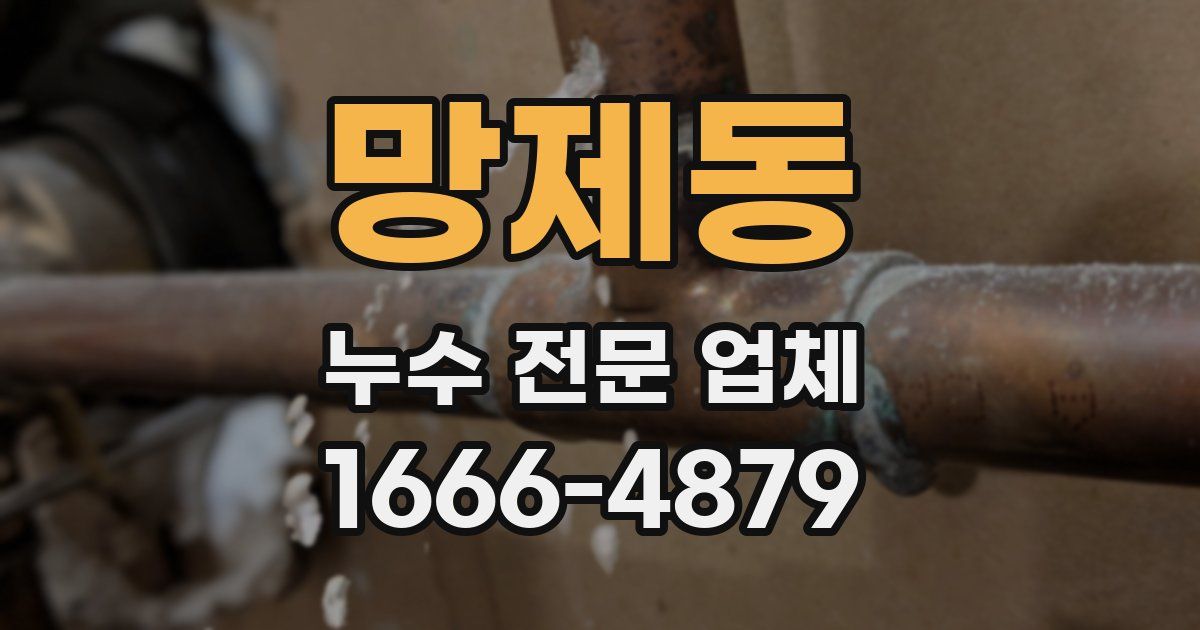 망제동 누수 전문 업체