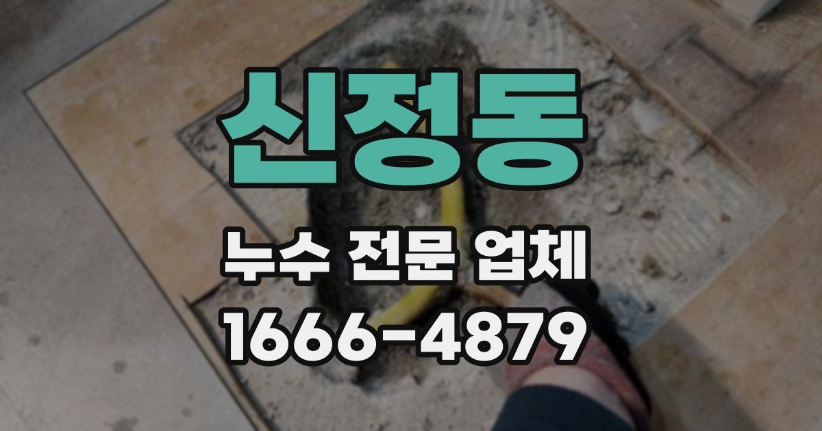 신정동 누수 전문 업체