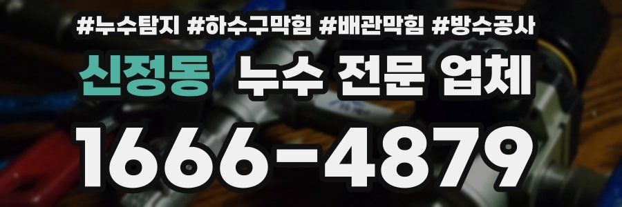 신정동 누수 전문 업체
