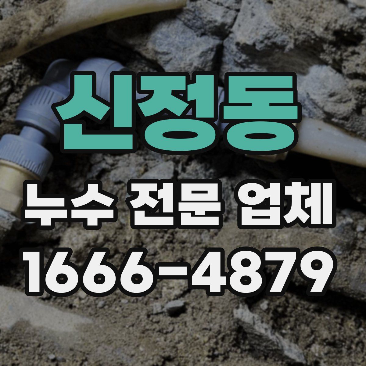 신정동 누수 전문 업체