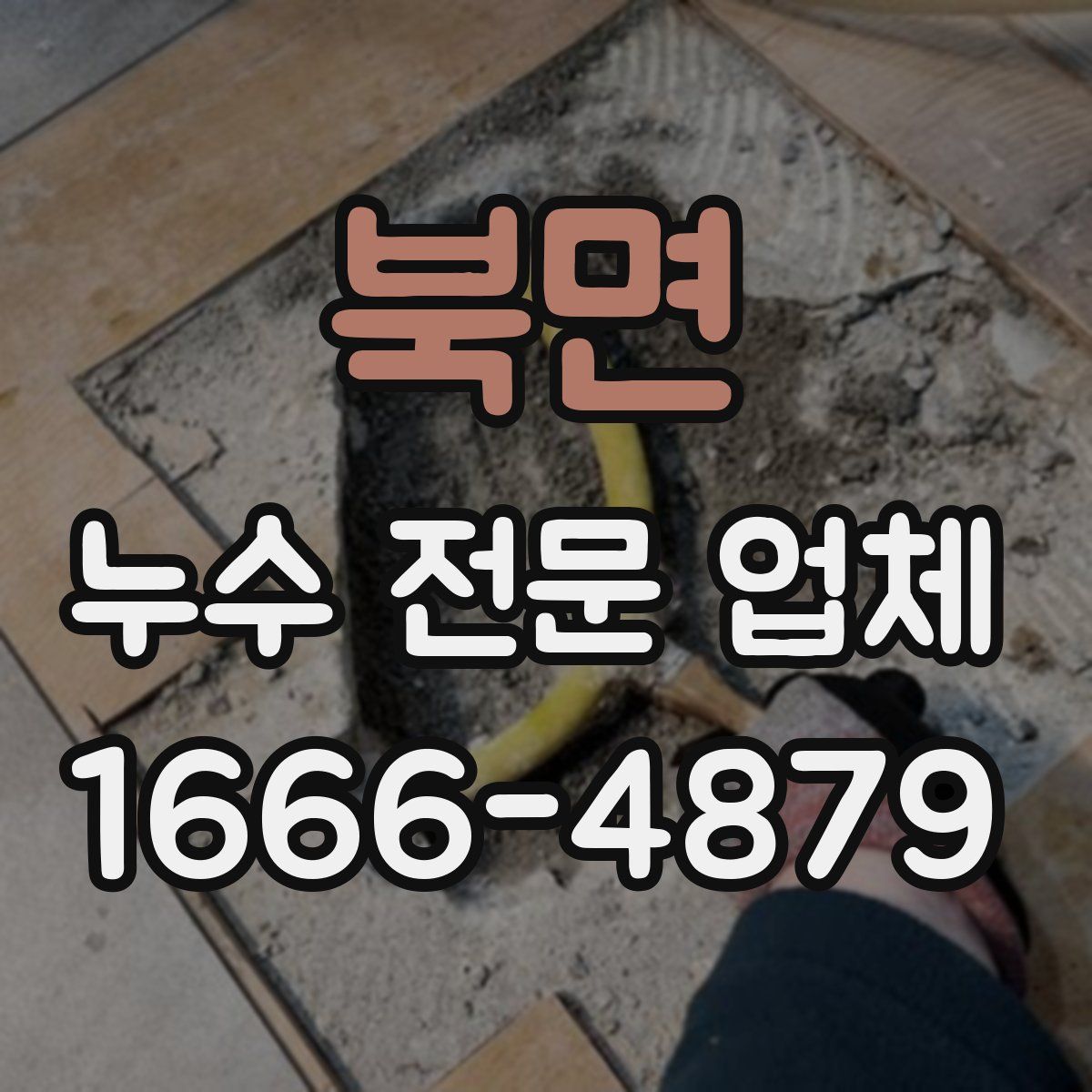 북면 누수 전문 업체
