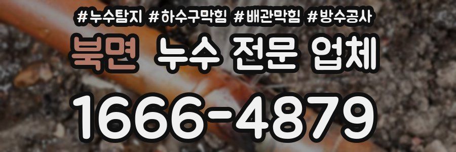 북면 누수 전문 업체