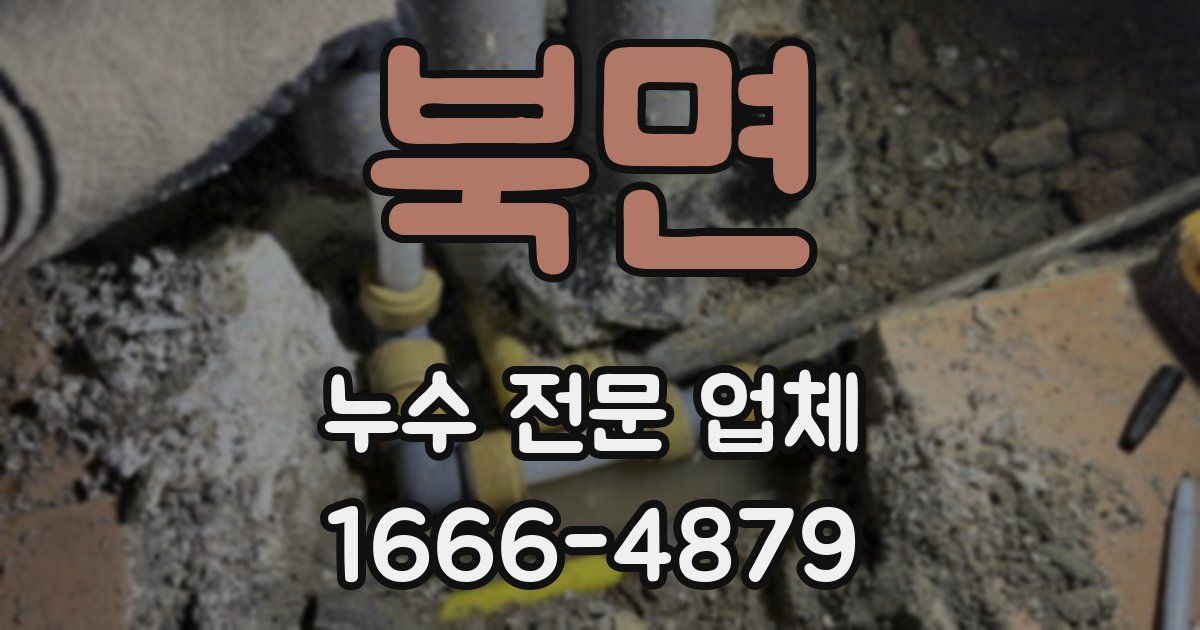 북면 누수 전문 업체