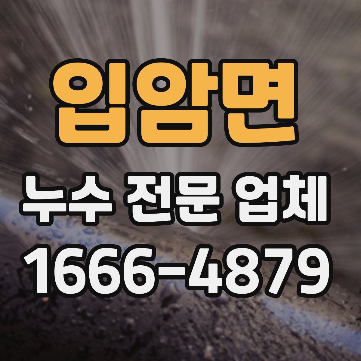 입암면 누수 전문 업체