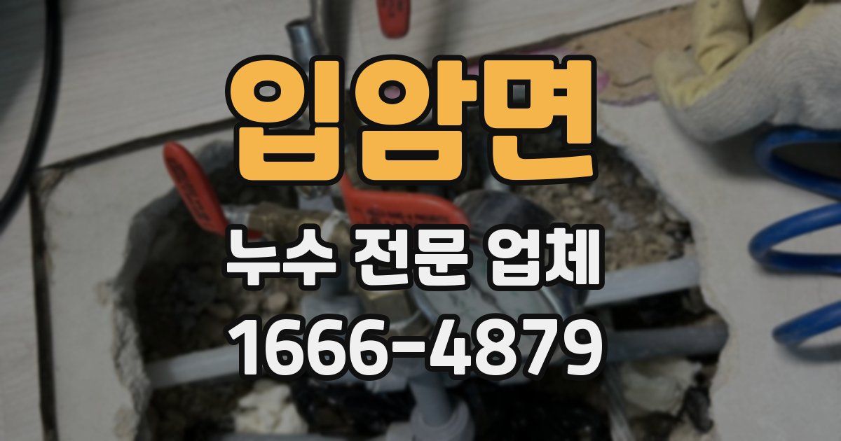 입암면 누수 전문 업체