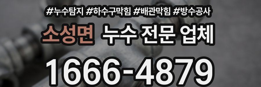 소성면 누수 전문 업체