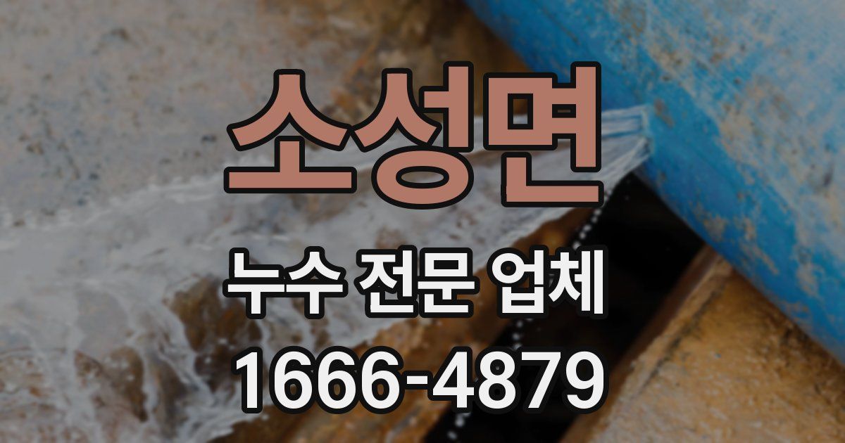 소성면 누수 전문 업체