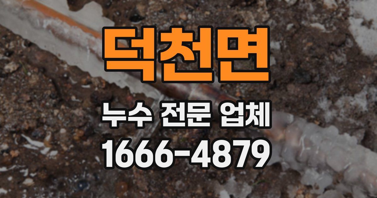 덕천면 누수 전문 업체