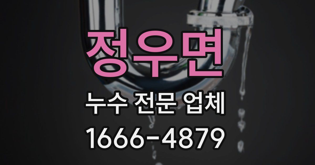 정우면 누수 전문 업체