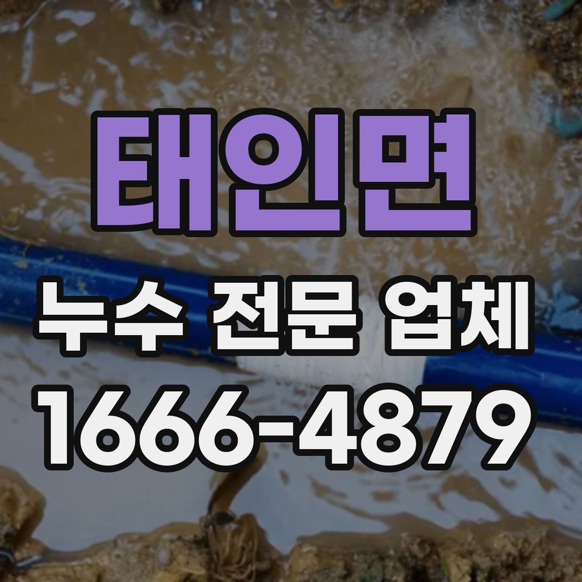 태인면 누수 전문 업체