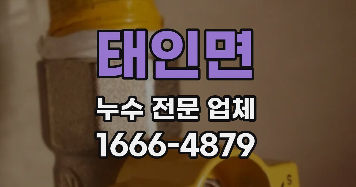 태인면 누수 전문 업체