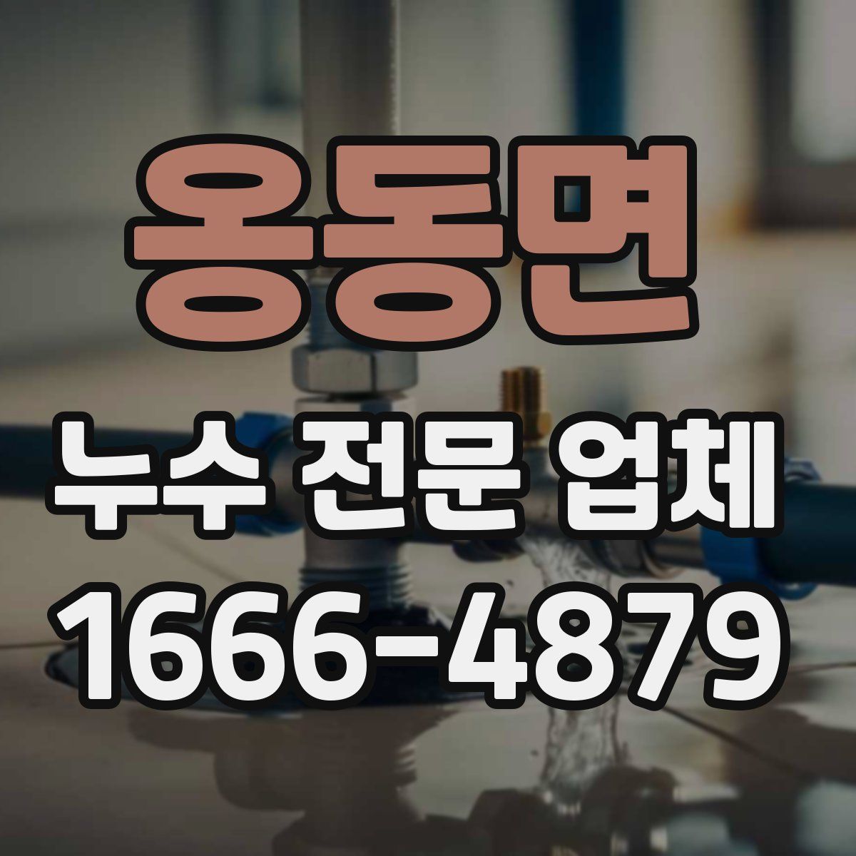 옹동면 누수 전문 업체