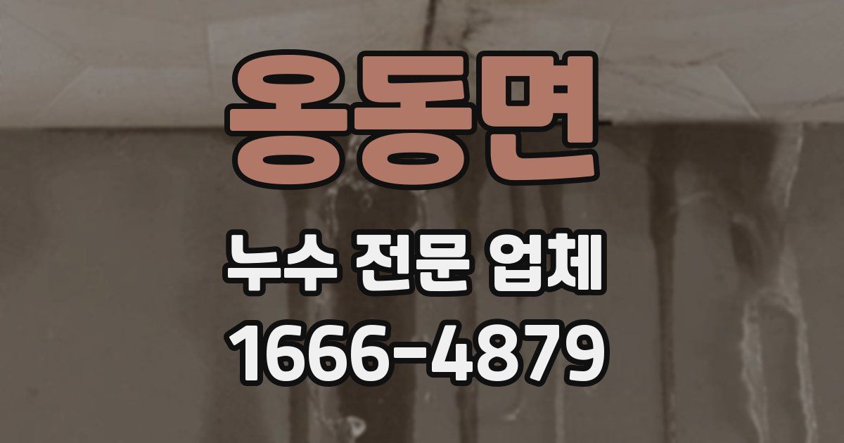 옹동면 누수 전문 업체