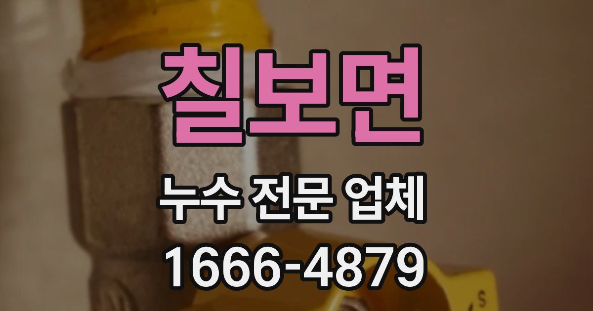 칠보면 누수 전문 업체