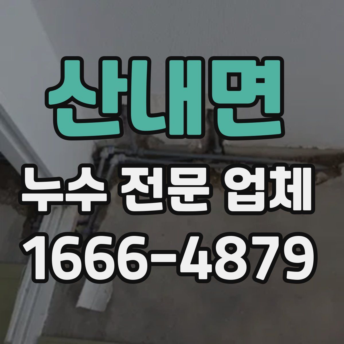 산내면 누수 전문 업체