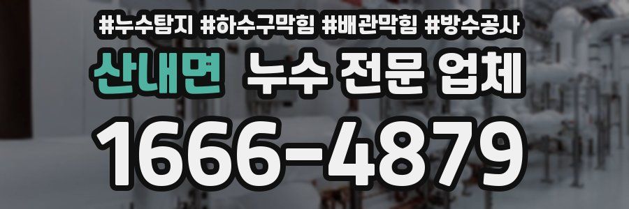 산내면 누수 전문 업체