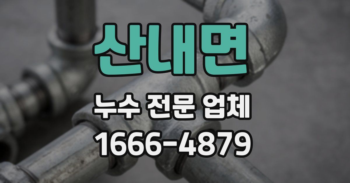산내면 누수 전문 업체