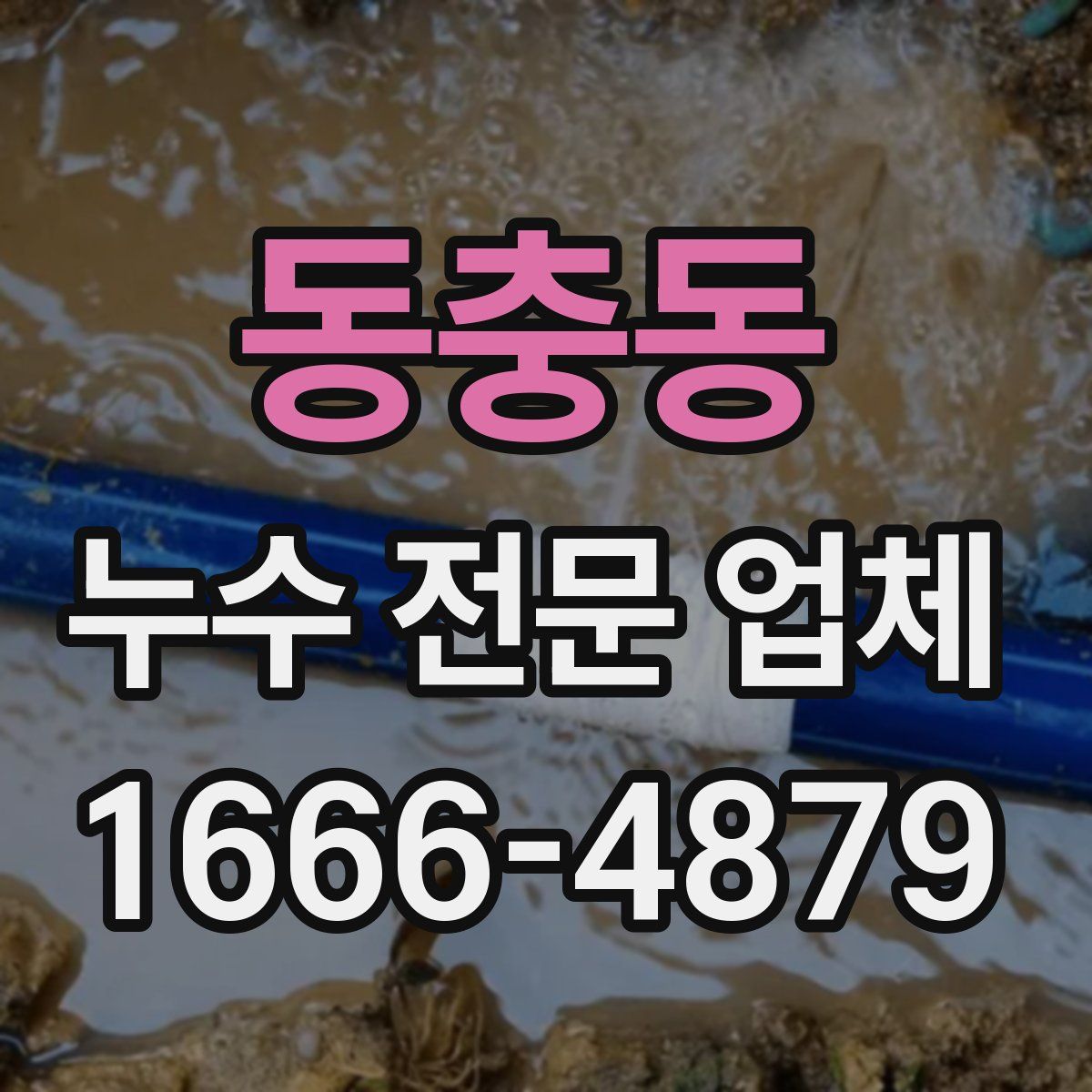 동충동 누수 전문 업체