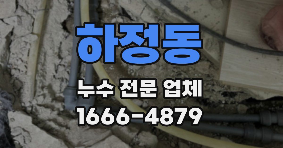 하정동 누수 전문 업체