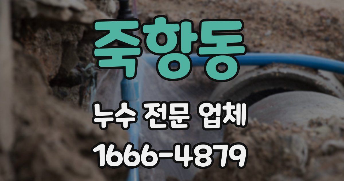 죽항동 누수 전문 업체