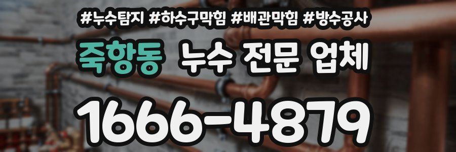 죽항동 누수 전문 업체