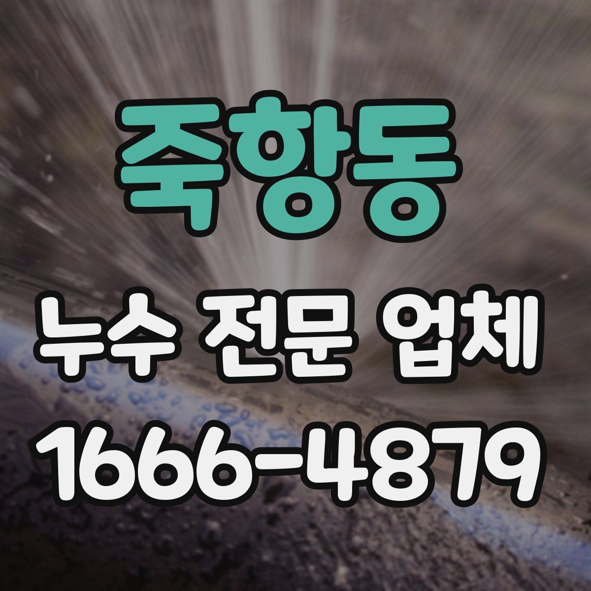 죽항동 누수 전문 업체