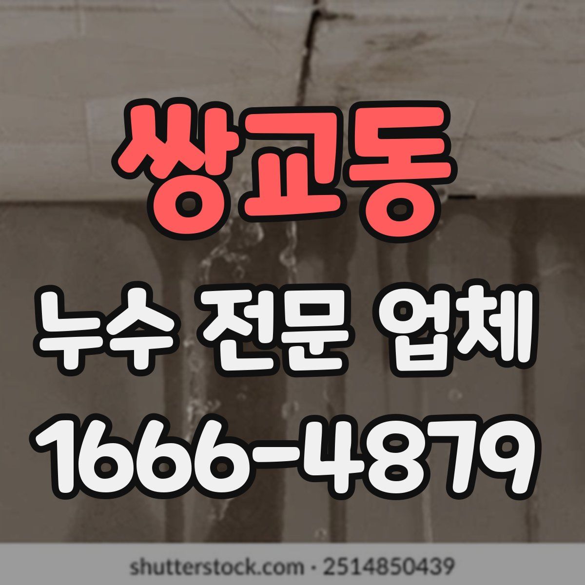 쌍교동 누수 전문 업체