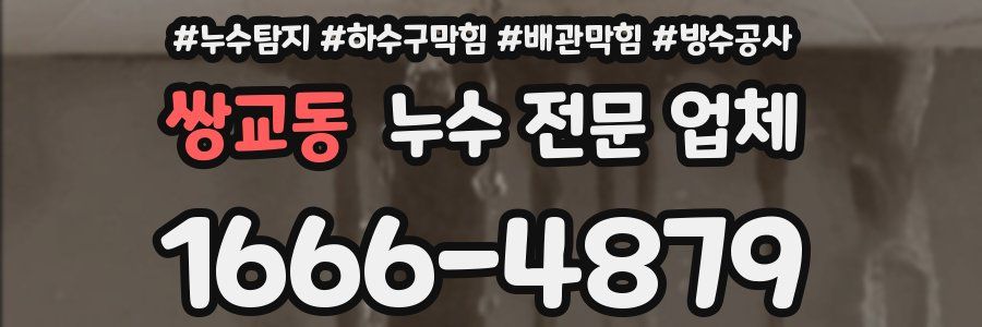 쌍교동 누수 전문 업체