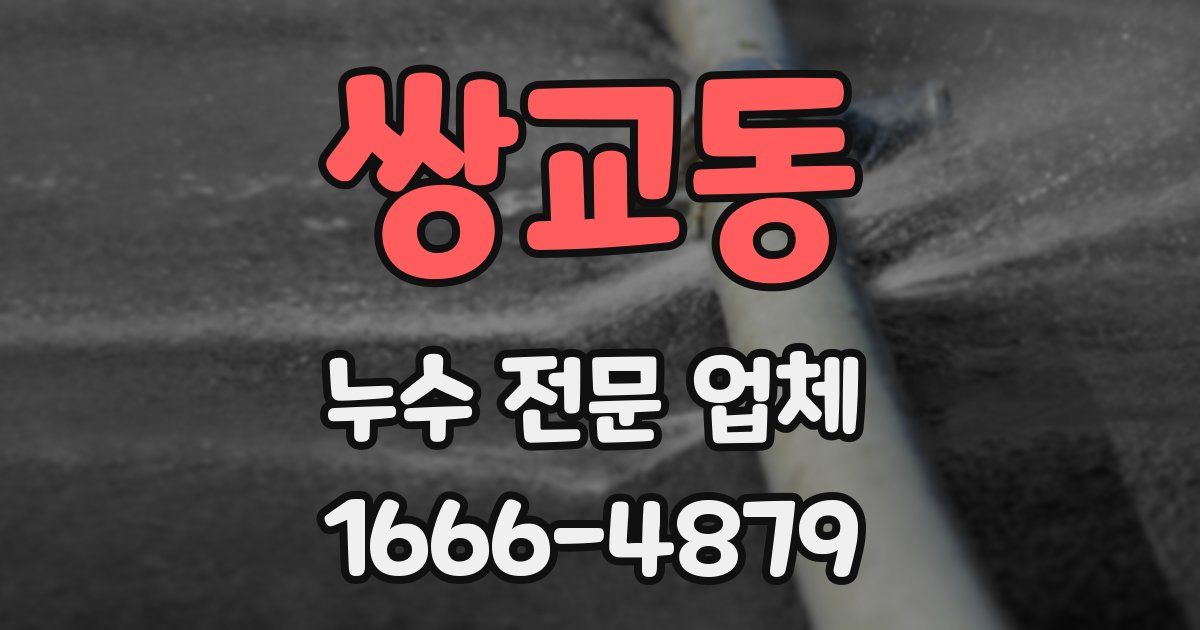 쌍교동 누수 전문 업체